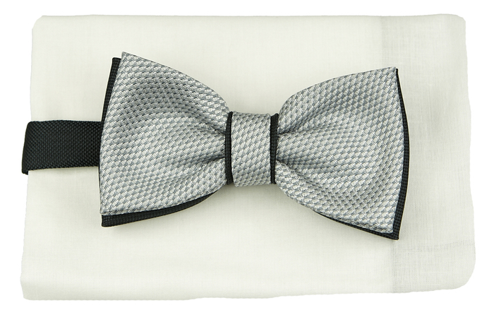 Mucha popielata KRZYSZTOF mpKR19K